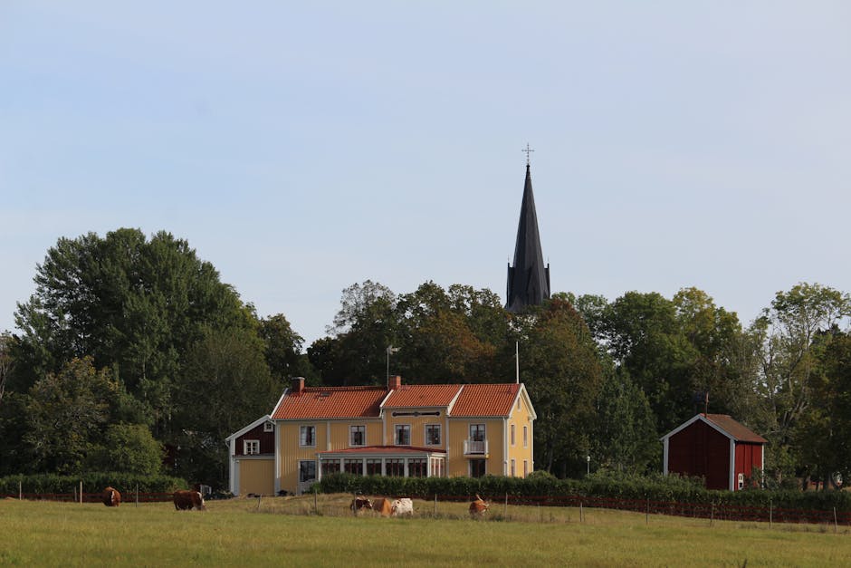 Hemsida för företag i Bjuv — Skåne Webbdesign