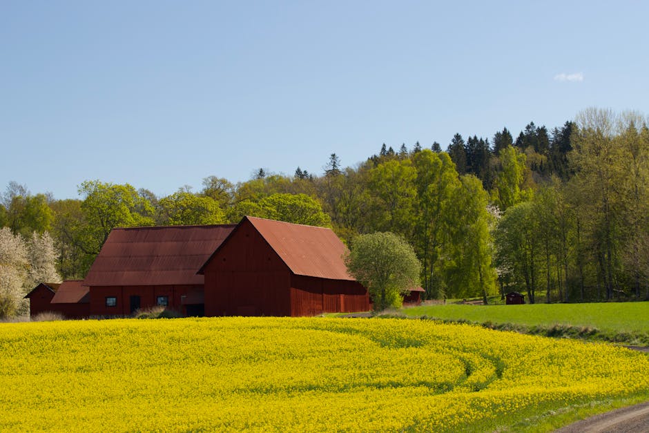 Hemsida för företag i Tomelilla — Skåne Webbdesign